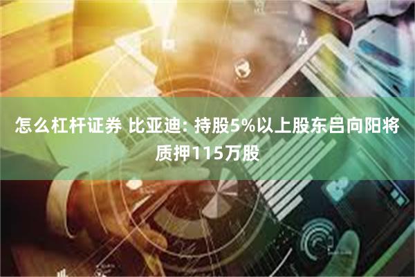 怎么杠杆证券 比亚迪: 持股5%以上股东吕向阳将质押115万股