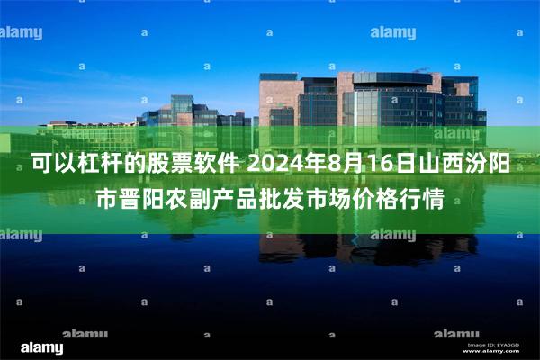 可以杠杆的股票软件 2024年8月16日山西汾阳市晋阳农副产品批发市场价格行情