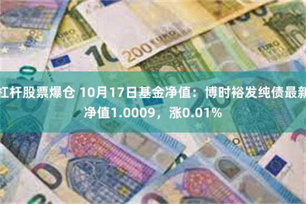 杠杆股票爆仓 10月17日基金净值：博时裕发纯债最新净值1.0009，涨0.01%