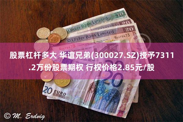 股票杠杆多大 华谊兄弟(300027.SZ)授予7311.2万份股票期权 行权价格2.85元/股