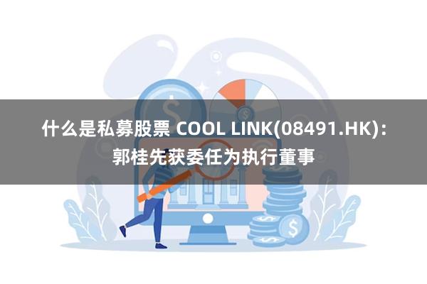 什么是私募股票 COOL LINK(08491.HK)：郭桂先获委任为执行董事