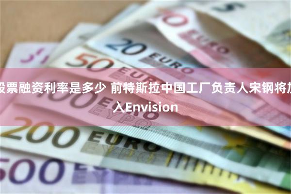 股票融资利率是多少 前特斯拉中国工厂负责人宋钢将加入Envision