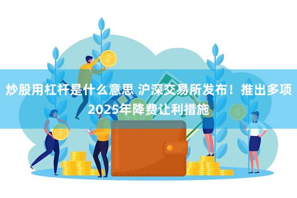 炒股用杠杆是什么意思 沪深交易所发布！推出多项2025年降费让利措施