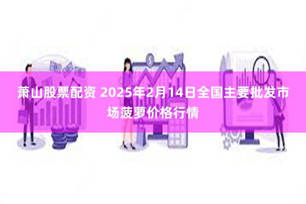 萧山股票配资 2025年2月14日全国主要批发市场菠萝价格行情