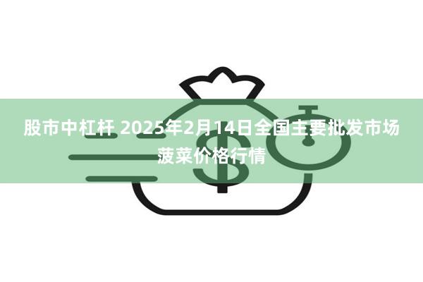 股市中杠杆 2025年2月14日全国主要批发市场菠菜价格行情